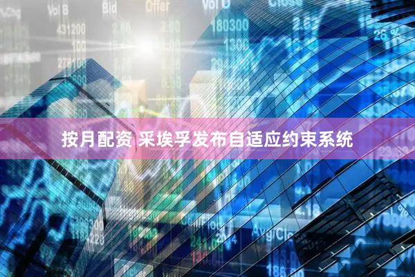 按月配资 采埃孚发布自适应约束系统