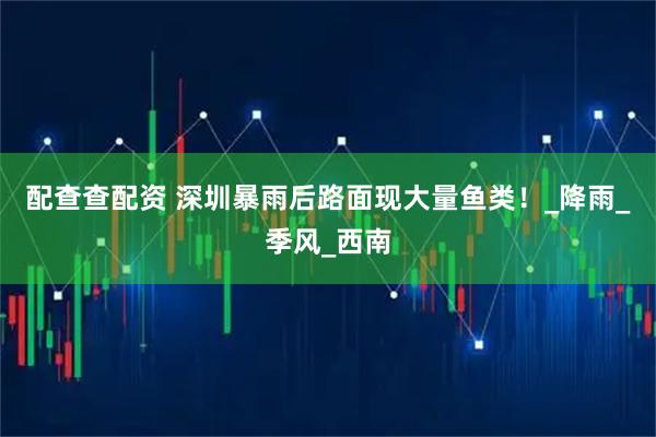 配查查配资 深圳暴雨后路面现大量鱼类！_降雨_季风_西南