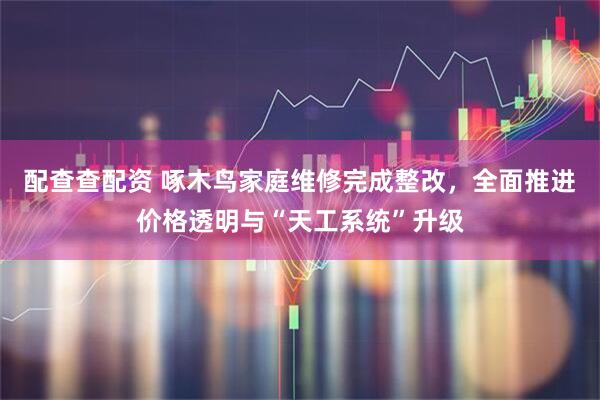 配查查配资 啄木鸟家庭维修完成整改，全面推进价格透明与“天工系统”升级