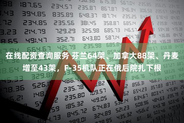 在线配资查询服务 芬兰64架、加拿大88架、丹麦增至43架，F-35机队正在俄后院扎下根