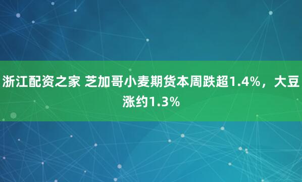 浙江配资之家 芝加哥小麦期货本周跌超1.4%，大豆涨约1.3%